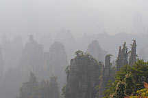 Picture of ɽ Tianzishan (Tianzi Mountains)