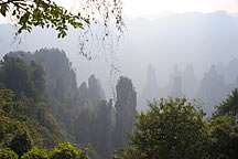 Picture of ɽ Tianzishan (Tianzi Mountains)