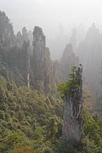 Picture of ɽ Tianzishan (Tianzi Mountains)