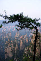 Picture of ɽ Tianzishan (Tianzi Mountains)