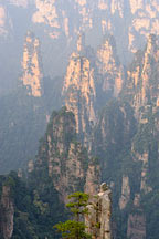 Picture of ɽ Tianzishan (Tianzi Mountains)