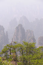 Picture of ɽ Tianzishan (Tianzi Mountains)