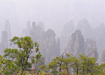 Picture of ɽ Tianzishan (Tianzi Mountains)