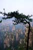 ɽ Tianzishan (Tianzi Mountains)