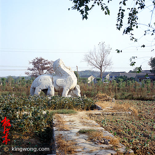 Ͼʯ--ʨ Nanjing Six Dynasties Stone Beasts--Lion