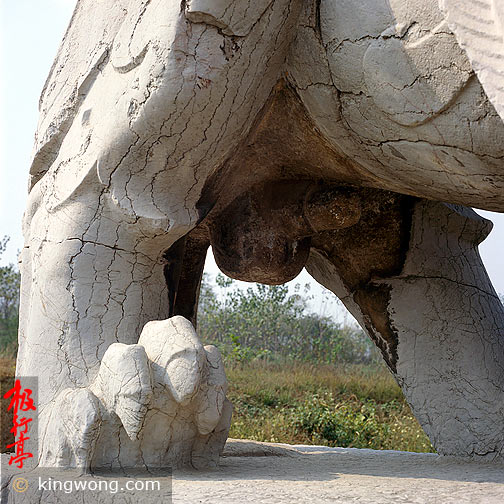 Ͼʯ-- Nanjing Six Dynasties Stone Beasts - Qilin