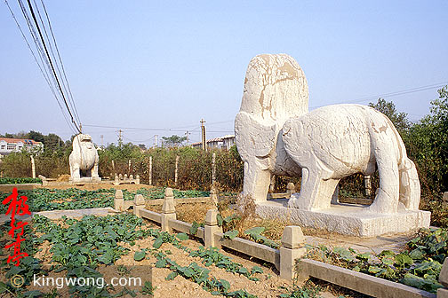 Ͼʯ--ʨ Nanjing Six Dynasties Stone Beasts--Lion