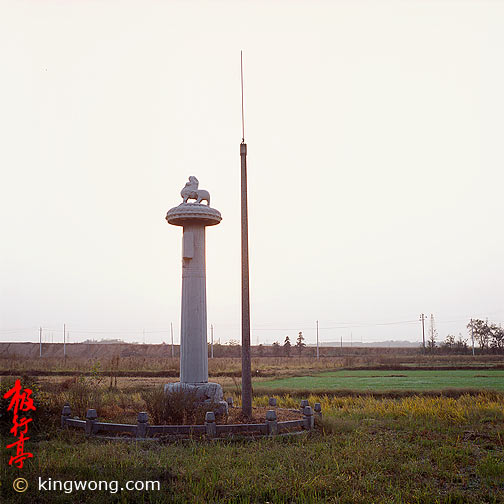 Ͼʯ--ʨ Nanjing Six Dynasties Stone Beasts - Lion