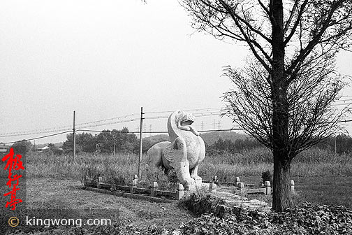 Ͼʯ--ʨ Nanjing Six Dynasties Stone Beasts - Lion