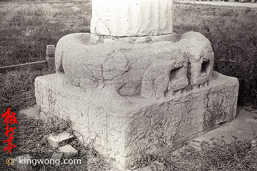 Ͼʯ--ʨ Nanjing Six Dynasties Stone Beasts - Lion