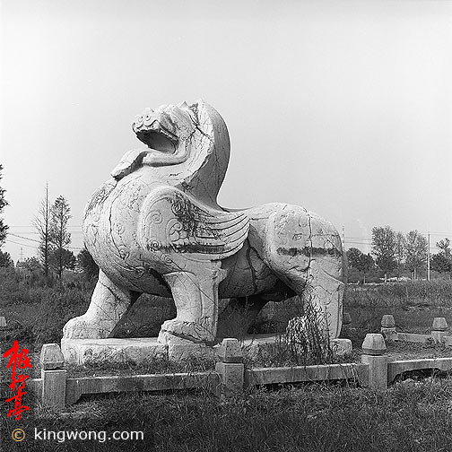 Ͼʯ--ʨ Nanjing Six Dynasties Stone Beasts - Lion