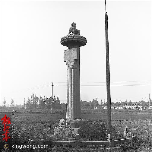 南京六朝石刻--狮子 Nanjing Six Dynasties Stone Beasts - Lion