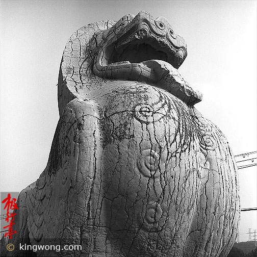 Ͼʯ--ʨ Nanjing Six Dynasties Stone Beasts - Lion