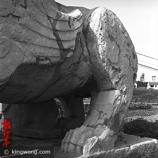 Ͼʯ--ʨ Nanjing Six Dynasties Stone Beasts - Lion