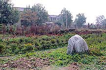 Nanjing Six Dynasties Stone Beasts--Lion,Nanjing Stone Beasts