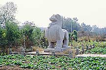 Nanjing Six Dynasties Stone Beasts--Lion,Nanjing Stone Beasts