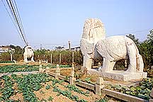 Nanjing Six Dynasties Stone Beasts--Lion,Nanjing Stone Beasts