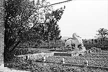 Nanjing Six Dynasties Stone Beasts--Lion,Nanjing Stone Beasts