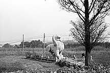 Nanjing Six Dynasties Stone Beasts - Lion,Nanjing Stone Beasts