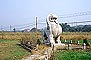 Ͼʯ--ʨ Nanjing Six Dynasties Stone Beasts - Lion