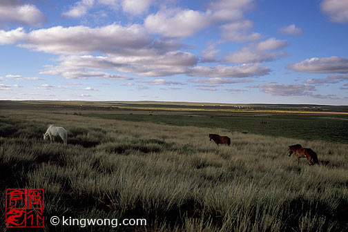 ϣʲԭ Xilamuren Grassland