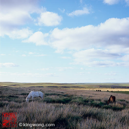 ϣʲԭ Xilamuren Grassland