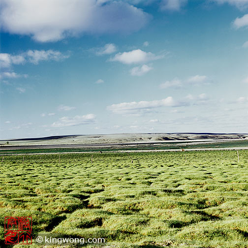 ϣʲԭ Xilamuren Grassland