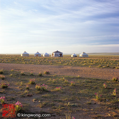 希拉穆仁草原 Xilamuren Grassland