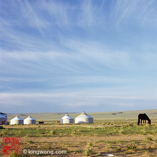 ϣʲԭ Xilamuren Grassland