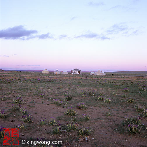 ϣʲԭ Xilamuren Grassland