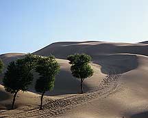 Xiangshawan sand dune