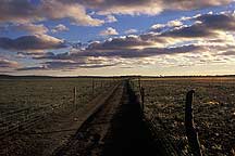 Picture of ϣʲԭ Xilamuren Grassland