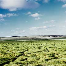 Xilamuren Grassland,Xilamuren