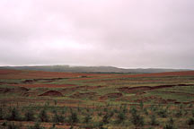 Picture of ϣ From Huhehaote City to Xilamuren Grassland