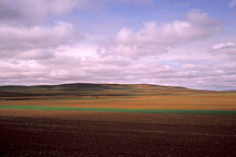 Picture of ϣ From Huhehaote City to Xilamuren Grassland