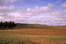 From Huhehaote City to Xilamuren Grassland,Huhehaote To Xilamuren