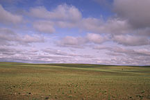 From Huhehaote City to Xilamuren Grassland,Huhehaote To Xilamuren