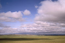 Picture of ϣ From Huhehaote City to Xilamuren Grassland