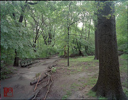 ŦԼ빫԰ New York City Central Park