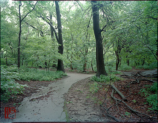 ŦԼ빫԰ New York City Central Park