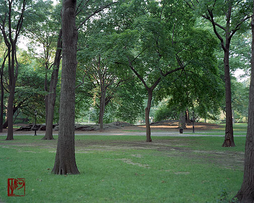 ŦԼ빫԰ New York City Central Park