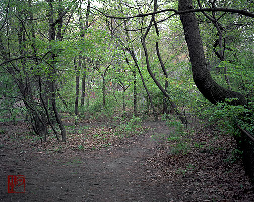 ŦԼ빫԰ New York City Central Park