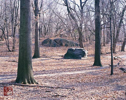 纽约市中央公园 New York City Central Park
