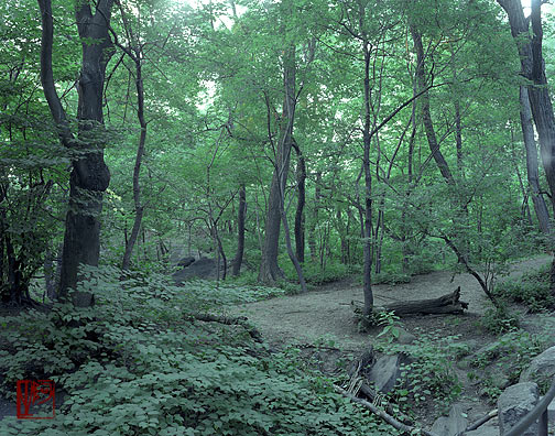 ŦԼ빫԰ New York City Central Park