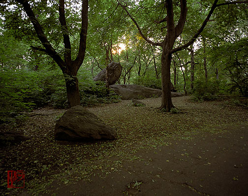 ŦԼ빫԰ New York City Central Park