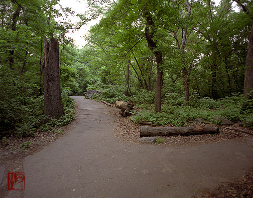 ŦԼ빫԰ New York City Central Park