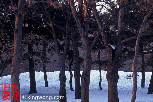纽约市中央公园 New York City Central Park