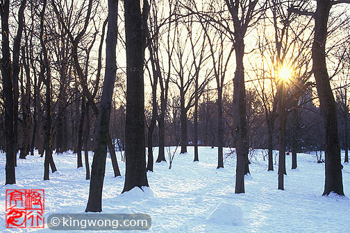 ŦԼ빫԰ New York City Central Park