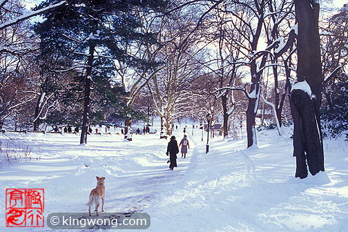 ŦԼ빫԰ New York City Central Park