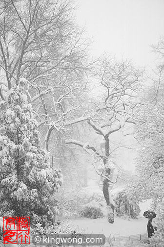 纽约市中央公园 New York City Central Park